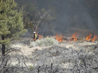 Prescribed Fire on Slaughter Mesa in Gila National Forest